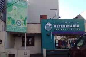 Clinica Veterinaria Carini K&uacute;tulas