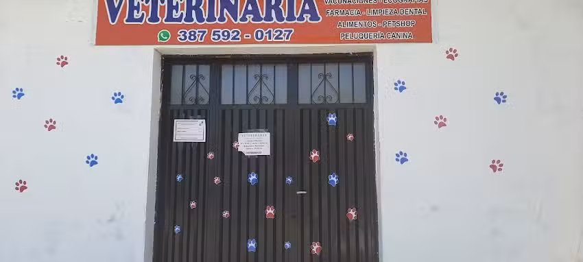 Clinica Veterinaria Cat Dog