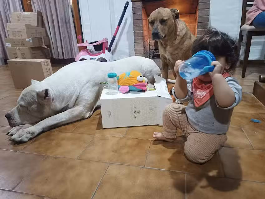 Cl&iacute;nica Veterinaria CISA