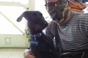 Cl&iacute;nica Veterinaria Costa Sur