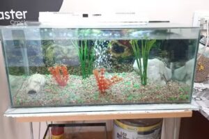 Cl&iacute;nica Veterinaria de Peque&ntilde;os Animales