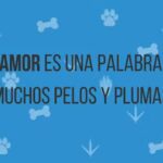 Cl&iacute;nica Veterinaria del Norte