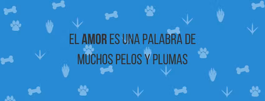 Cl&iacute;nica Veterinaria del Norte