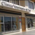 Cl&iacute;nica Veterinaria del Sol