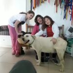 Clinica Veterinaria del Sol