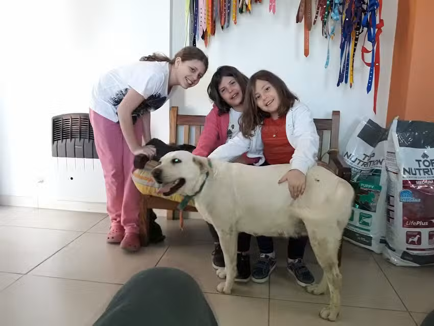 Clinica Veterinaria del Sol