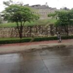 Cl&iacute;nica veterinaria del sur