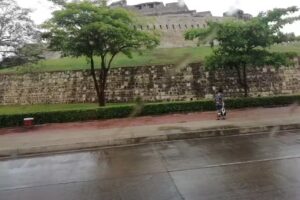 Cl&iacute;nica veterinaria del sur