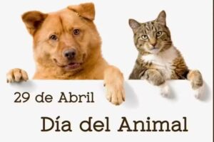 Clinica Veterinaria Dr Paez Barrios