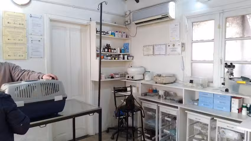 Cl&iacute;nica Veterinaria Dr. Ravaglia