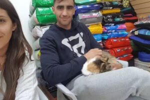 Cl&iacute;nica Veterinaria Dr. Romero