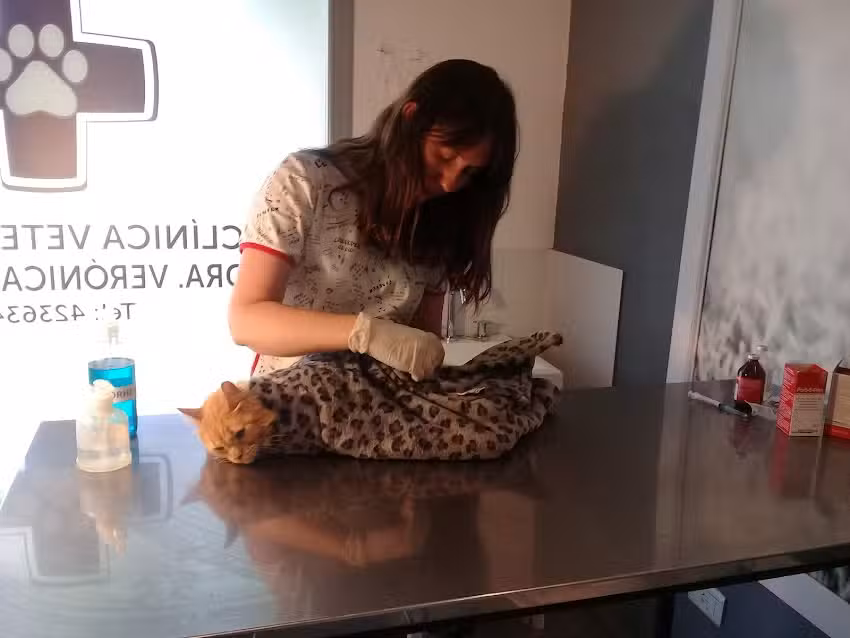 Cl&iacute;nica Veterinaria Dra. Veronica Uranga