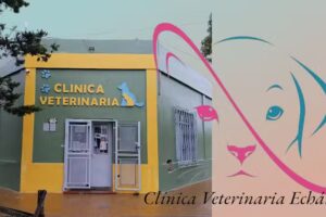 Cl&iacute;nica Veterinaria Ech&aacute;niz