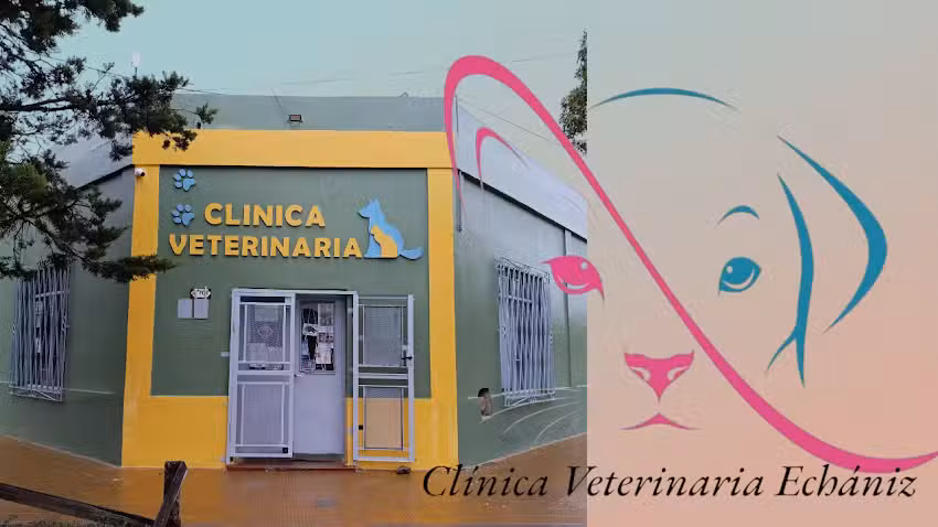 Cl&iacute;nica Veterinaria Ech&aacute;niz
