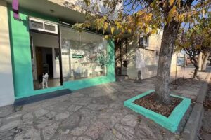 Clínica Veterinaria El Club del Can