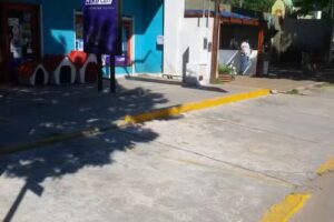 Cl&iacute;nica Veterinaria El Paso