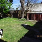 Cl&iacute;nica Veterinaria Estrada