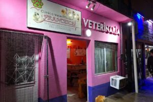 Clinica Veterinaria Francesca