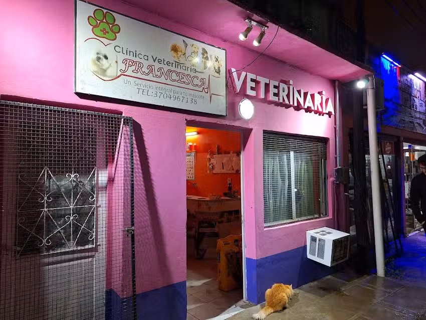 Clinica Veterinaria Francesca