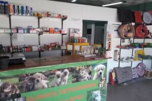 Cl&iacute;nica Veterinaria Garc&iacute;a L&oacute;pez