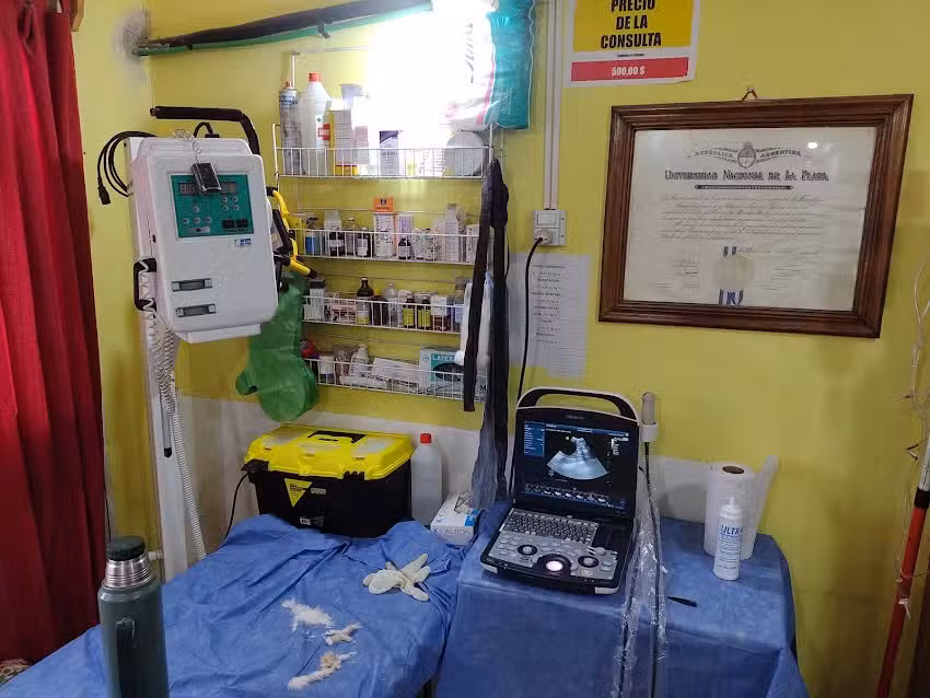 Cl&iacute;nica VETERINARIA Garc&iacute;a