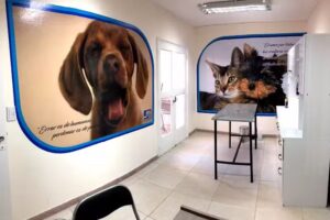 CLINICA VETERINARIA GODOY CRUZ