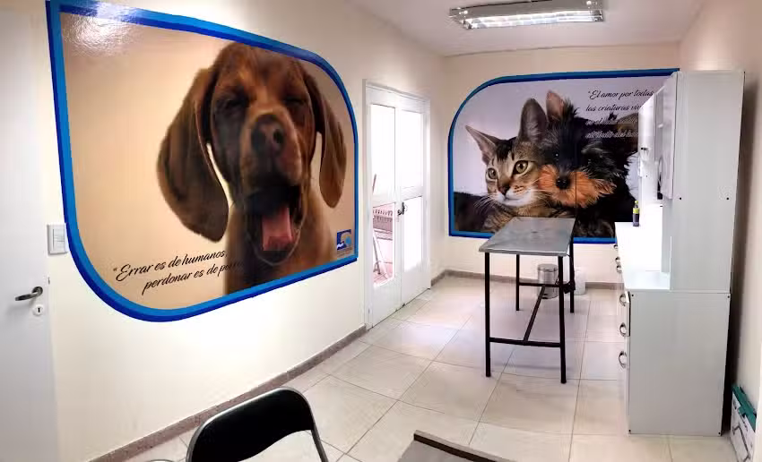 CLINICA VETERINARIA GODOY CRUZ
