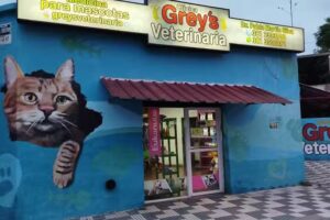 Cl&iacute;nica Veterinaria Grey&rsquo;s
