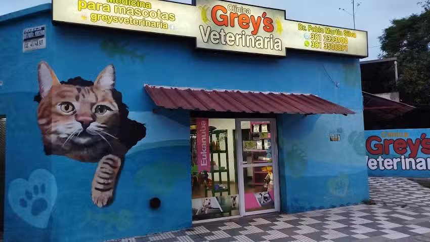Cl&iacute;nica Veterinaria Grey&rsquo;s