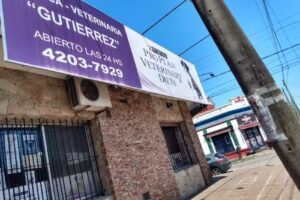 Cl&iacute;nica Veterinaria Guti&eacute;rrez