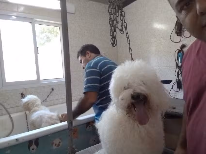 Clinica Veterinaria Hocikos