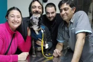 CLÍNICA VETERINARIA HUINCA de Mario Lombino