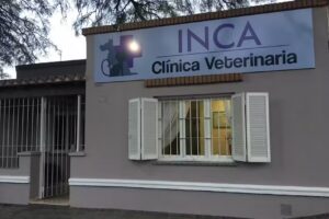 Cl&iacute;nica Veterinaria Inca