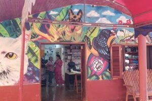 Cl&iacute;nica Veterinaria La Mascota