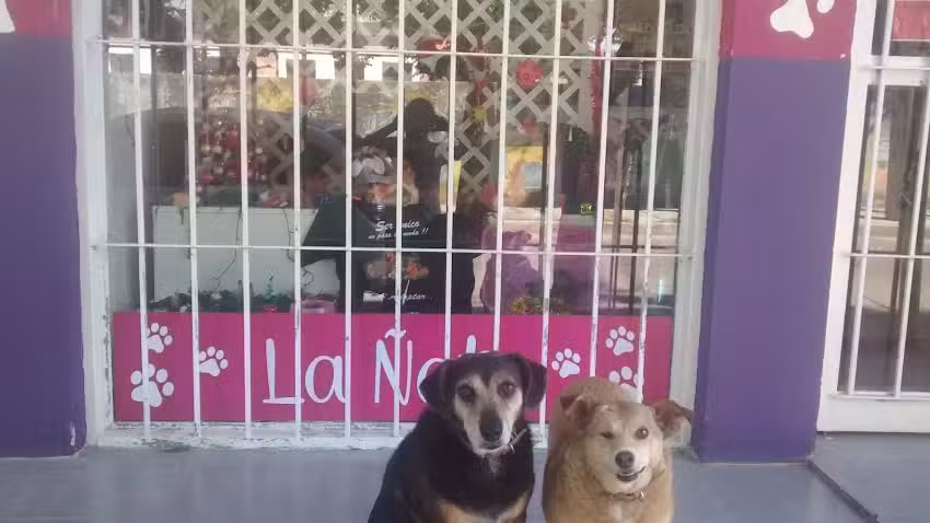 Cl&iacute;nica Veterinaria &ldquo;La &Ntilde;ata&rdquo;