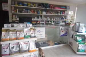 Clinica Veterinaria &ldquo;La Pulga&rdquo;