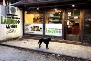 Clínica Veterinaria Lahuen