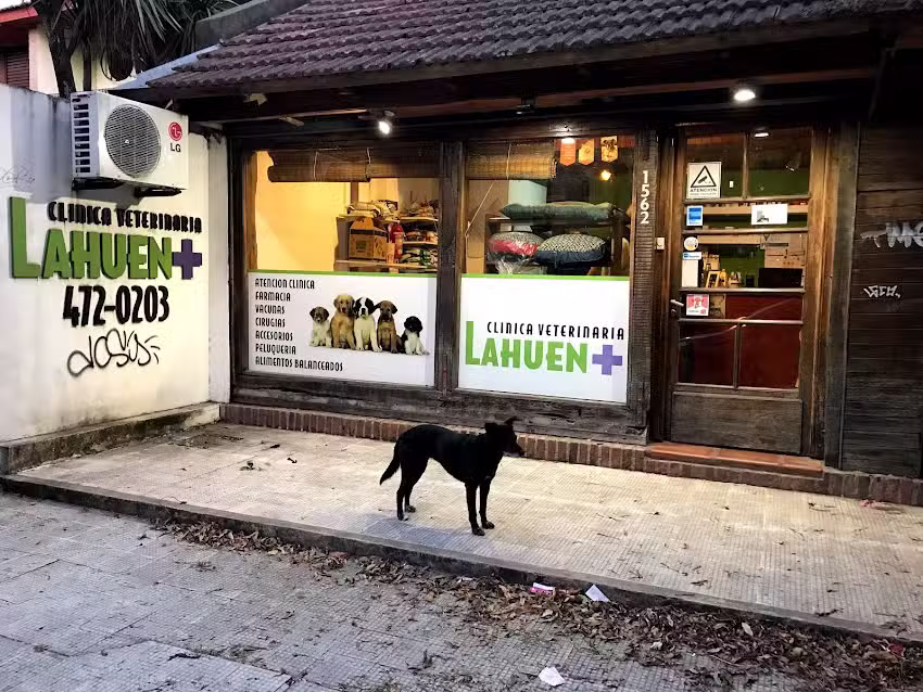 Cl&iacute;nica Veterinaria Lahuen