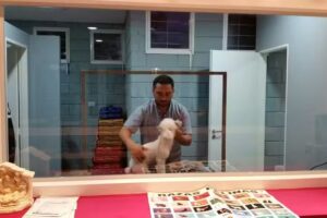 Cl&iacute;nica Veterinaria Lucca