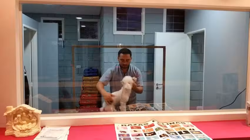 Cl&iacute;nica Veterinaria Lucca