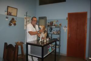 Cl&iacute;nica Veterinaria Luciano