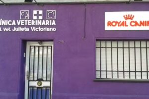 Clinica Veterinaria M.V. Julieta Victoriano