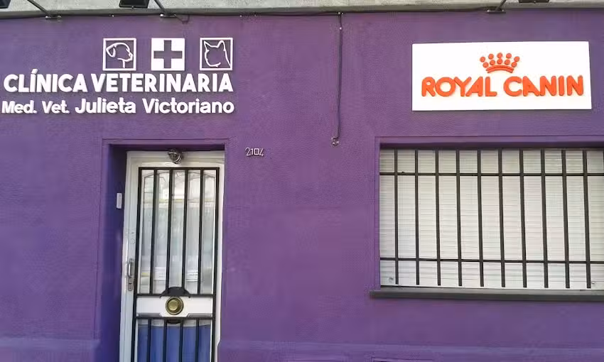Clinica Veterinaria M.V. Julieta Victoriano