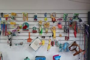 Clinica Veterinaria Morena