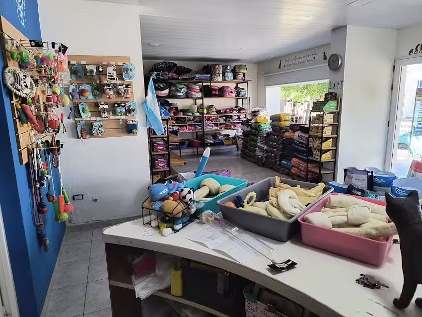 Cl&iacute;nica Veterinaria Moreno