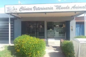 Clinica veterinaria mundo animal