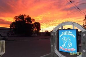 Clinica Veterinaria Nahuel