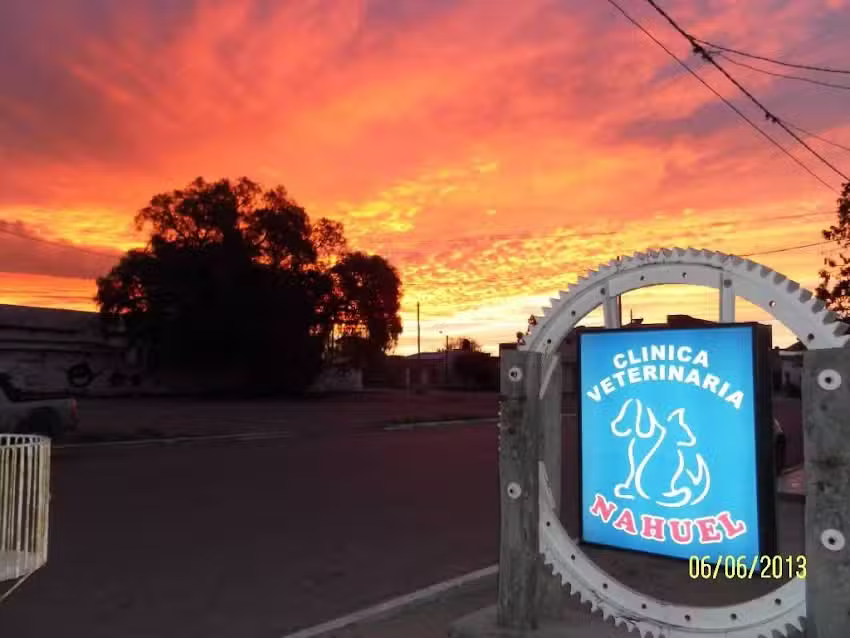 Clinica Veterinaria Nahuel