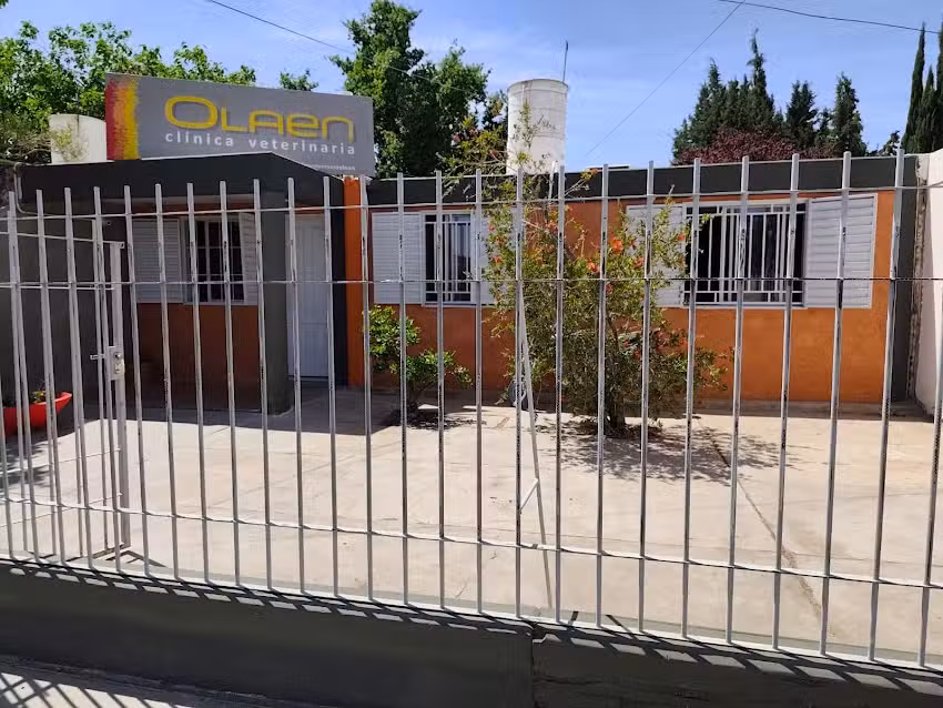Cl&iacute;nica Veterinaria Olaen