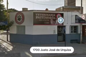 Cl&iacute;nica Veterinaria Patitas & Company